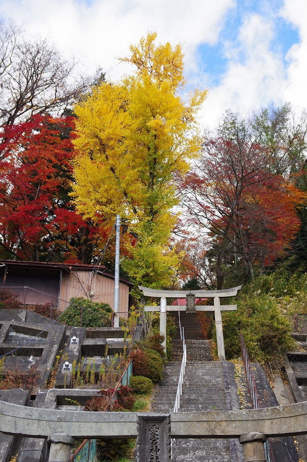 参道から見上げた愛宕神社